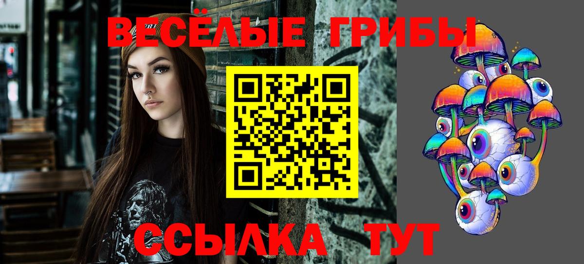 Саров  где можно купить наркотик  Вход с VPN  Галлюциногенные грибы ЛСД 